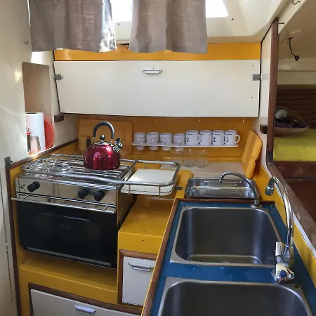 Aurel * Rochefort (Charente-Maritime)